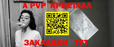 крисы Новозыбков
