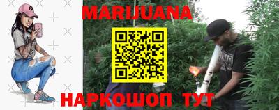 крисы Новозыбков