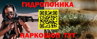 сатива Новодвинск