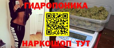 крисы Новозыбков
