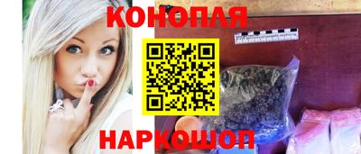 крисы Новозыбков