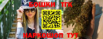 сатива Новодвинск