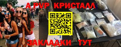 крисы Новозыбков