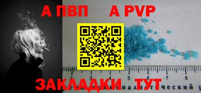 сатива Новодвинск